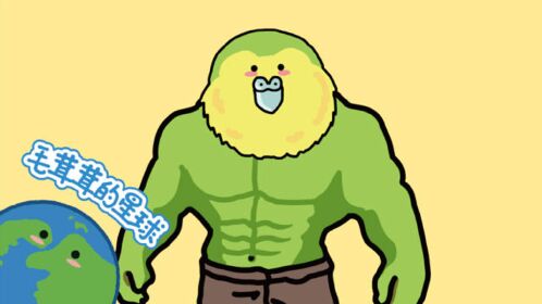 鸮鹦鹉:傻鸟的快乐你们都get不到