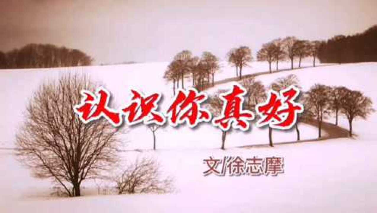 徐志摩散文认识你真好像恋情亦似友情是思念亦是眷恋