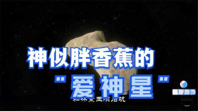 爱神星的存在并非浪得虚名,神似一个胖香蕉,还与火星纠缠不清