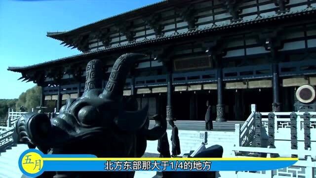 三国:曹操受皇命再次黄巾军,从此之后曹操势力迅速崛起