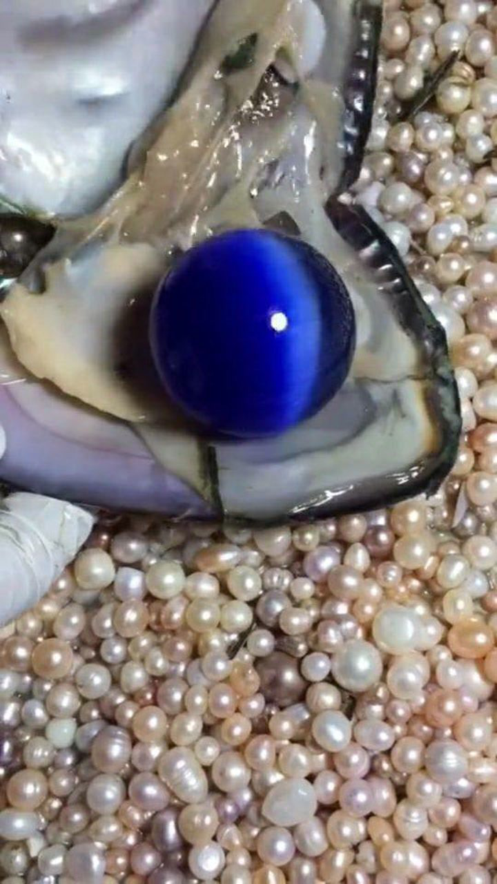 河蚌现极品蓝珍珠,说它是天然形成的,根本没人信