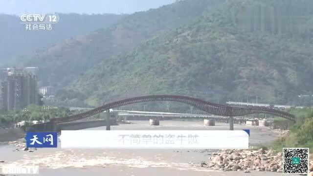 回顾:山区小城接连发生盗牛案,民警介入调查,却发现盗牛贼并不简单