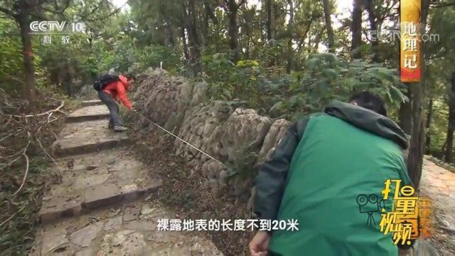 浮来山横贯山脊的神奇“龙脉”,究竟有何奇特之处