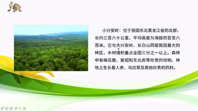 三年级上册人教部编版语文同步课:《美丽的小兴安岭》