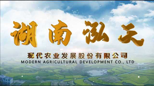 20200916湖南隆回宏天农业发展股份有限公司宣传片