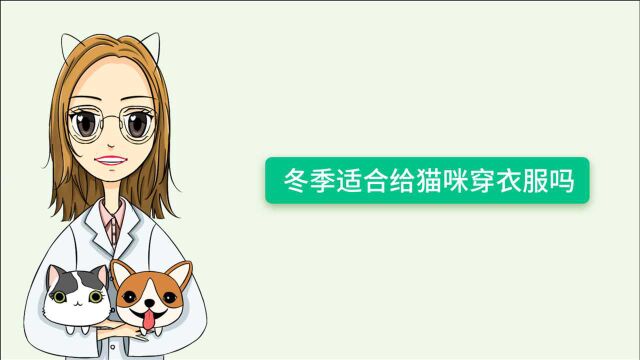 小宠医师:冬季适合给猫咪穿衣服吗?