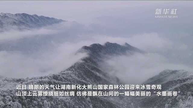 湖南新化:大熊山冰雪勾画“水墨画卷”