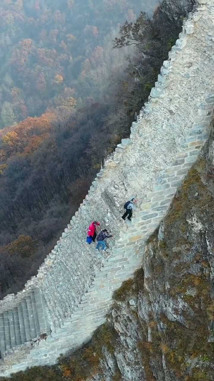 鹰飞倒仰段图片