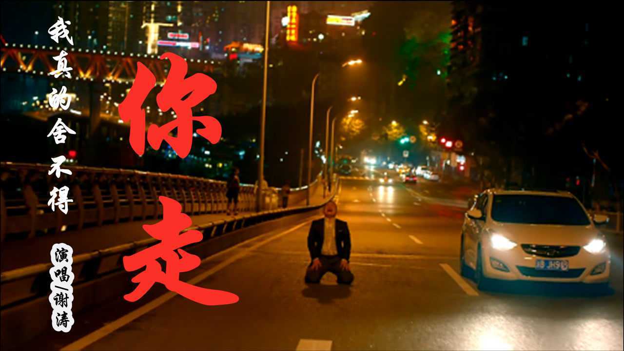 谢涛催泪情歌我真的舍不得你走有些人舍不得但不得不放手