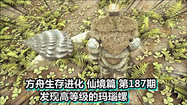 方舟生存进化 仙境篇 第187期 发现高等级的玛瑙螺