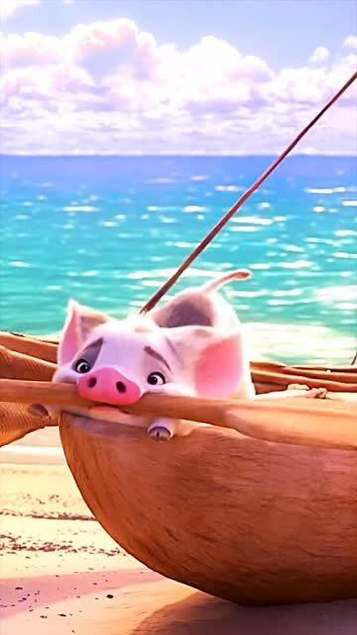 海洋奇缘,活泼俏皮的小猪猪,可爱至极