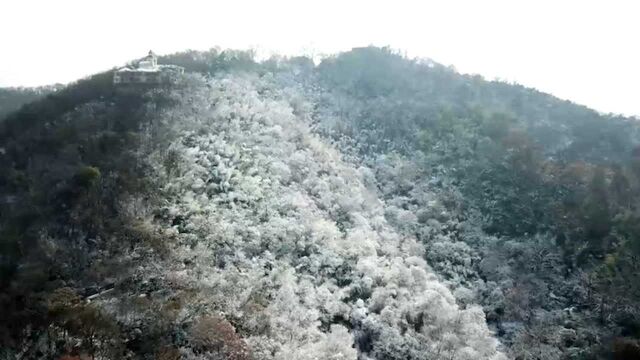 南京迎入冬以来首场降雪 紫金山雪景美轮美奂