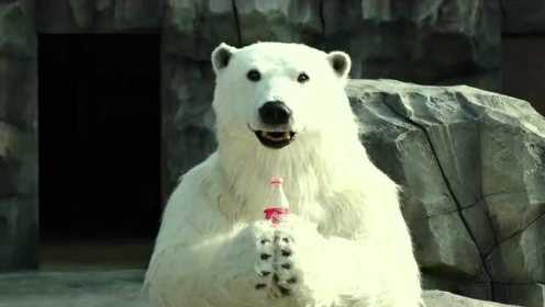 秘密动物园：原来广告不是骗人的，北极熊真的会喝可乐