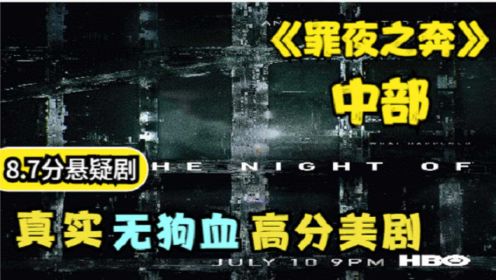 《罪夜之奔》中部，8.7分律政神剧，丝毫无狗血情节，好评如潮！