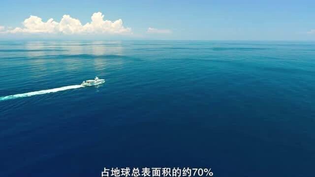 无边无际的大海,神秘而又危险,也许海洋生物才是地球的主人