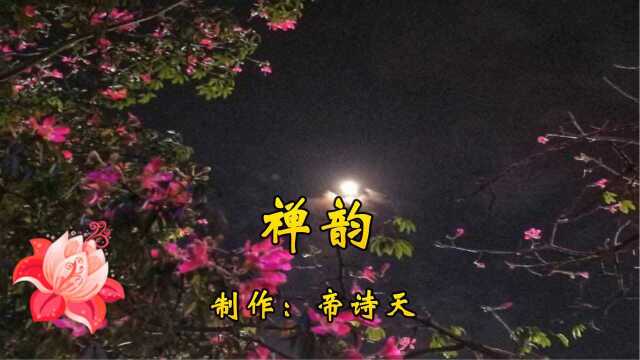 若无闲事挂心头,便是人生好时节《禅韵》送大家