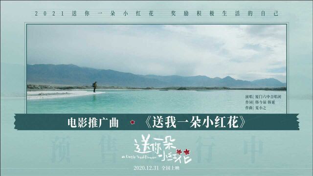 简单治愈!电影《送你一朵小红花》发布推广曲MV 厦门六中合唱团跨界献唱