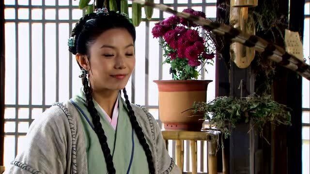 穆桂英挂帅穆桂英看上杨宗保了非得让彩云给她采花好好打扮自己