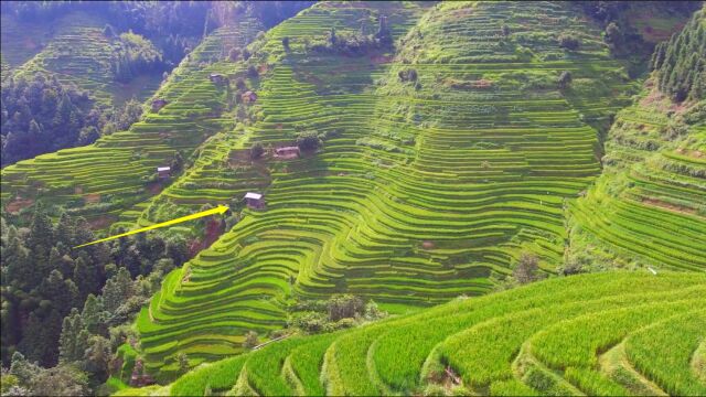 贵州梯田独一无二,山里最美的景色,绝无仅有的美景!