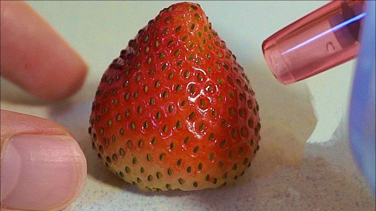 日本小哥用吸出器给草莓去黑头结局会怎样一起来看看