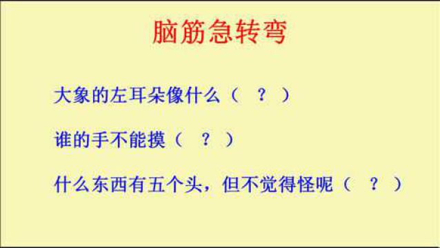 脑筋急转弯:大象的左耳朵像什么