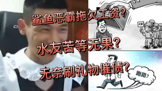 鲨鱼恶霸拖欠工资?水友无奈刷礼物催债?