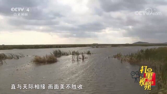 富锦国家湿地公园,环境优美气候宜人,鸟类栖息的天堂