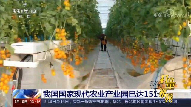 我国国家现代农业产业园已达151个