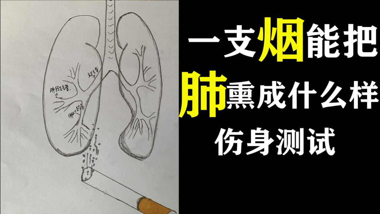 你的肺是什么颜色的,吸烟,烟焦油是怎么粘住肺的,亲测_腾讯视频