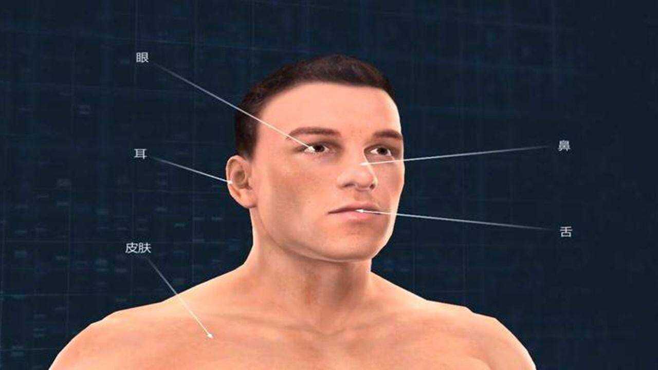 视觉、听觉、嗅觉、味觉、触觉是如何产生的？_高清