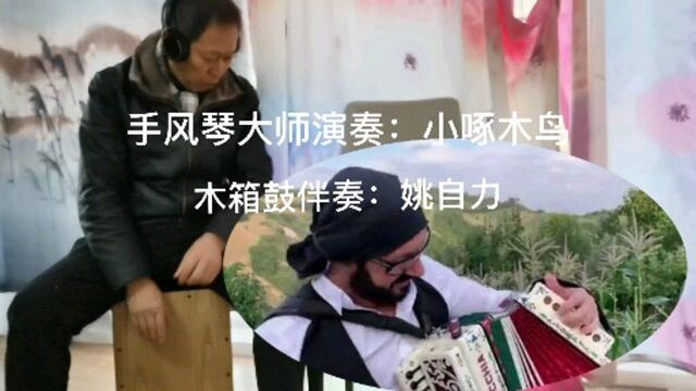 手风琴大师演奏:小啄木鸟