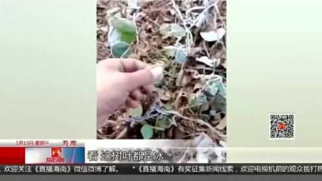 五指山水满乡出现结霜现象 未来一周气温“过山车”式起伏