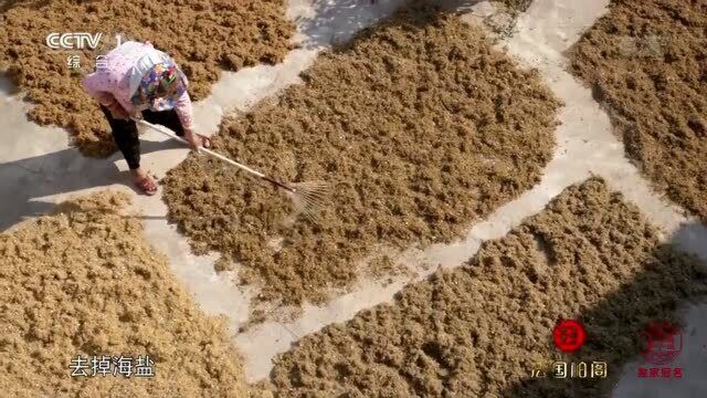 舌尖上的中国:采回来的石花草,要变成消暑佳品,还需经过复杂的工序