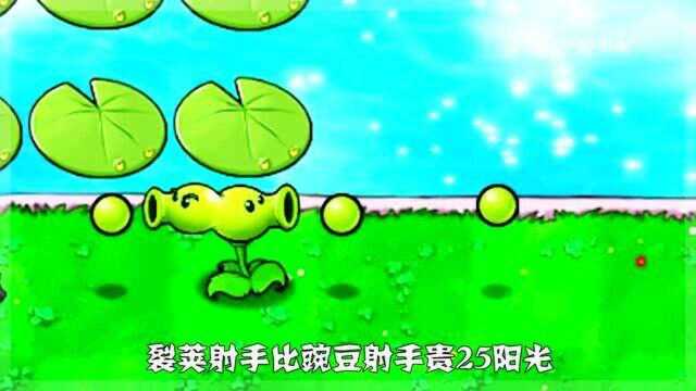 双向射手:原来我叫裂荚射手