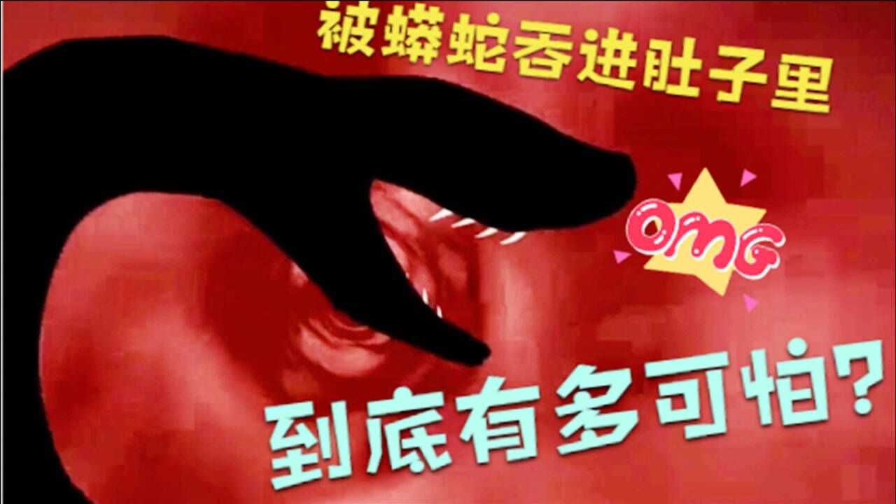 假如被蟒蛇吞进肚子里，你会在它的肚子里，经历怎么样的痛苦？_高清