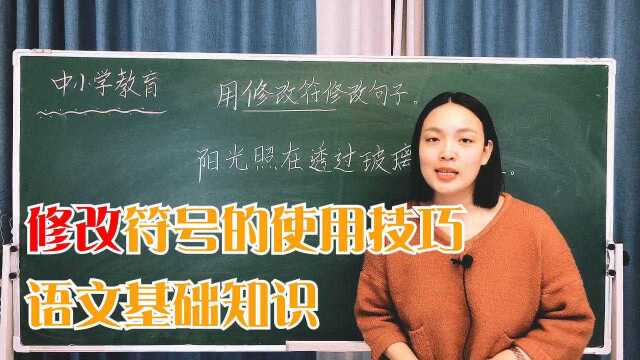 修改符号的使用技巧,语文基础知识,小学考点