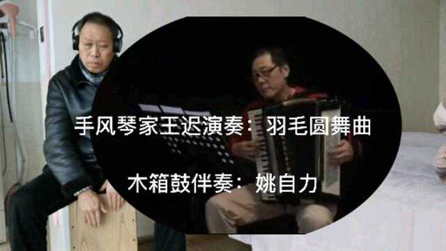 手风琴家王迟演奏:羽毛圆舞曲