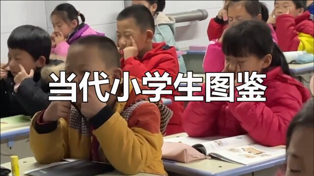 当代小学生图鉴