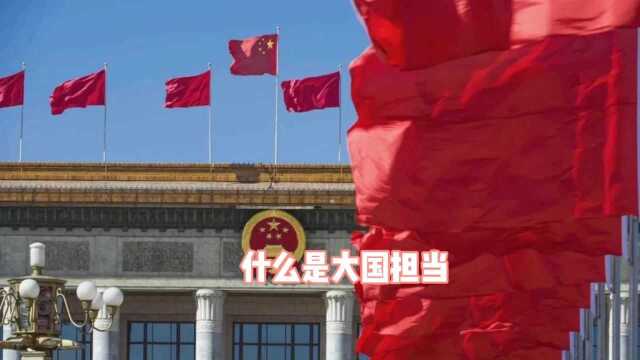 什么是大国风范,团结抗疫方显大国担当!