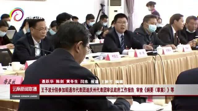 王予波分别参加昭通市代表团迪庆州代表团审议政府工作报告等