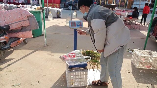 河南大葱价格暴跌,看看现在多少钱一斤,听完别吃惊