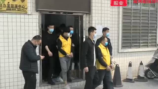 分工明确 剧本多样 7天快杀…… 淄川警方成功破获一起网络“