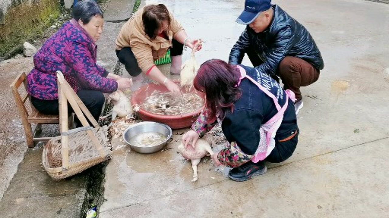 农村年味杀鸡买菜贴对联做好年饭过大年