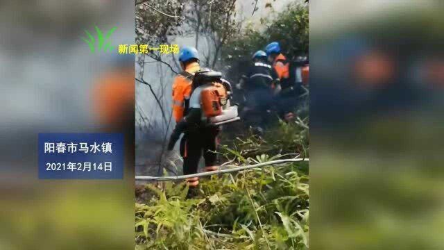 阳春市马水镇新村附近突发火灾枯草着火 救援人员奋力扑救