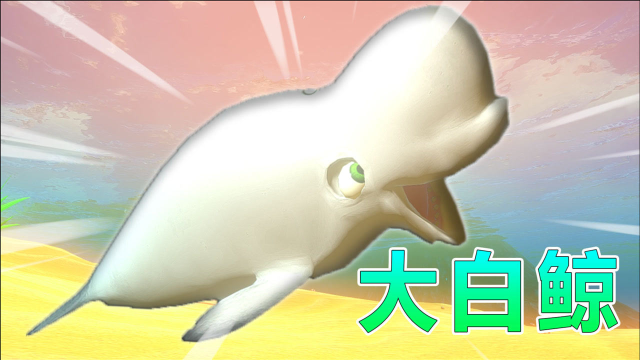 海底大猎杀番外7:小白鱼进化可爱大白鲸