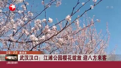 武汉汉口：江滩公园樱花绽放  迎八方来客