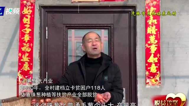 追梦这一年丨尹振林:依靠珠葱种植 实现共同富裕