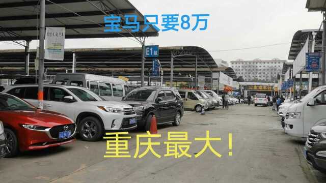 重庆最大二手汽车市场,宝马8万,奔驰10万,看看二手车都是什么价位?