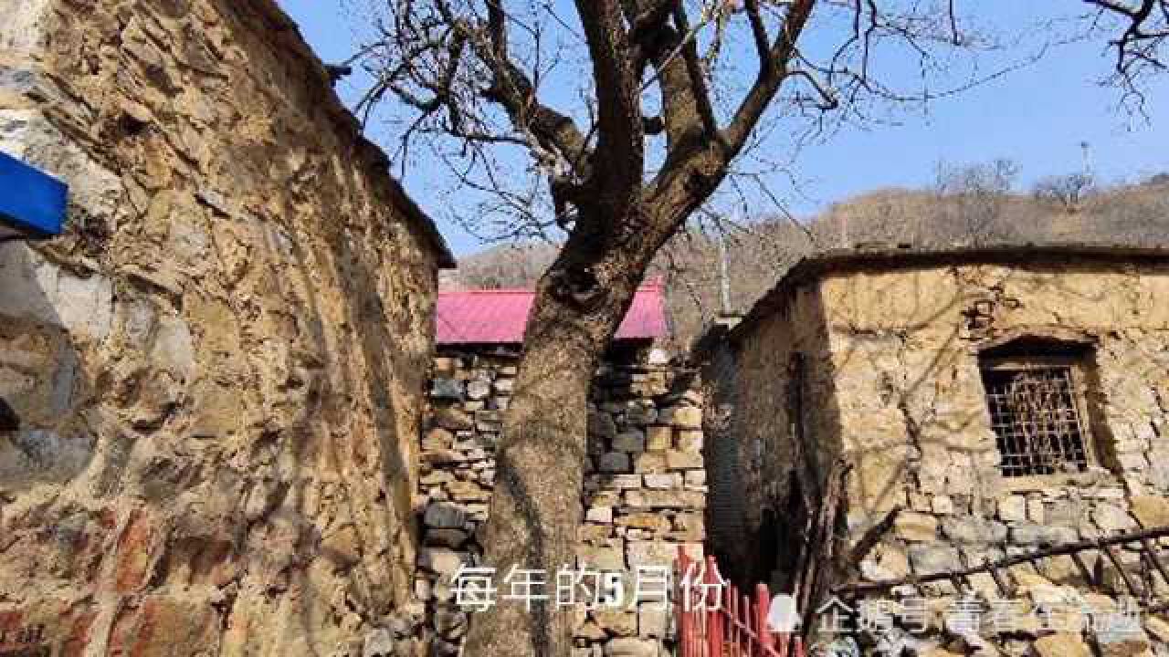 探寻河北唐县大山深处的白草寺又名悬空寺