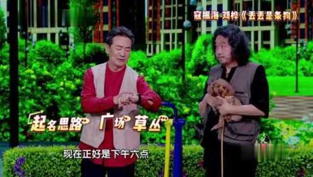 没见过这么给狗起名字的,真是神奇的回路